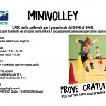 minivolley