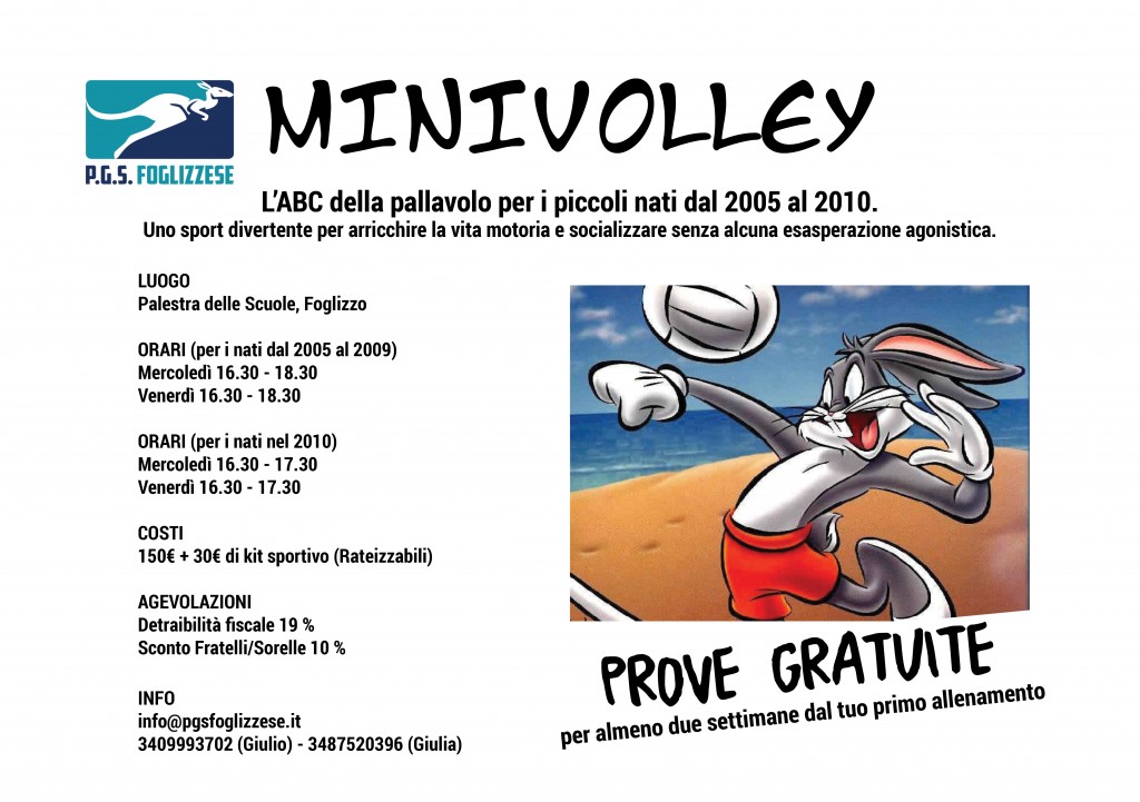 minivolley